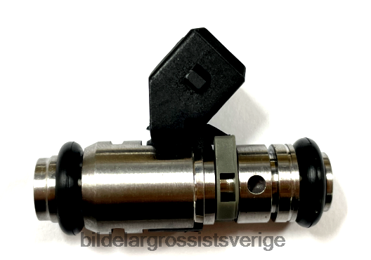 Bildelar Grossist Sverige | X4T8RP2263 bränsleinsprutare iwp001