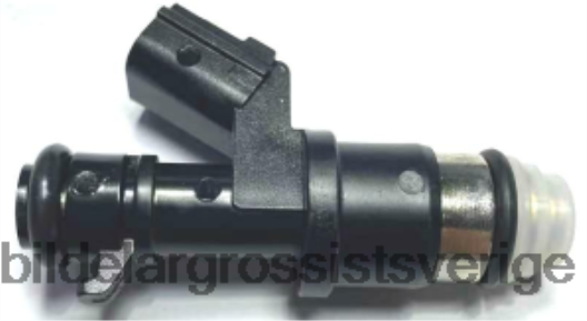 Bildelar Grossist | X4T8RP1962 bränsleinsprutare 16450r40a01