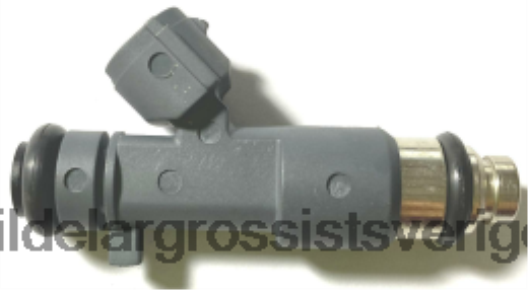 Bildelar Grossist | X4T8RP1872 bränsleinsprutare 16600zj50a NISSAN