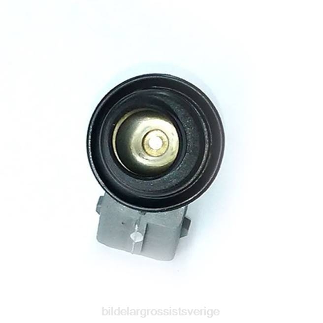 Bildelar Helsingborg 46PP385 wp176 bränsleinsprutare VW SKODA