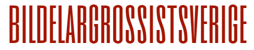 Bildelargrossistsverige